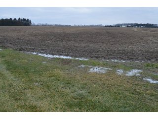 Property photo 64 - 175 Acres Offered in 5 Tracts - Tontogany, Ohio Farm Land Auction